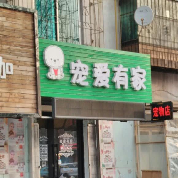 宠爱有家:抚顺市望花区丹东路附近