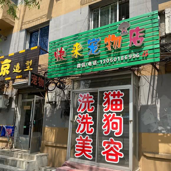 快来宠物店:抚顺市望花区丹东路附近
