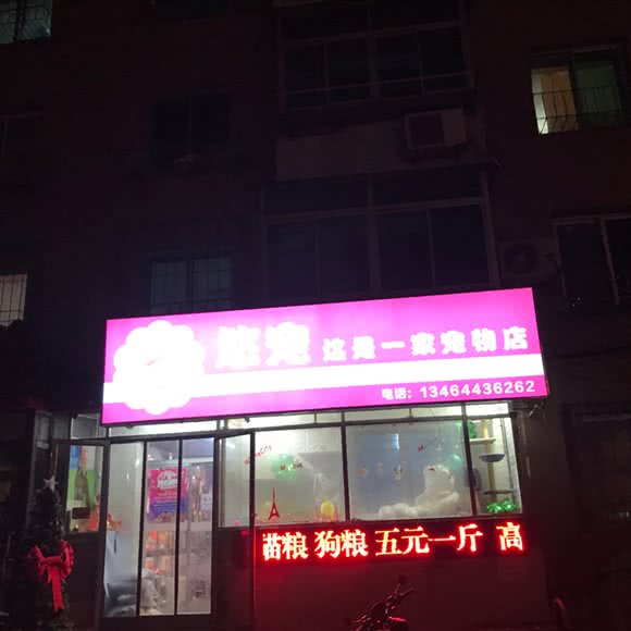 悠宠这是一家宠物店:抚顺市望花区望花七百附近