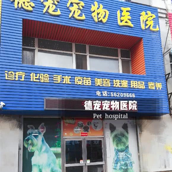 德宠宠物医院:抚顺市望花区高湾附近
