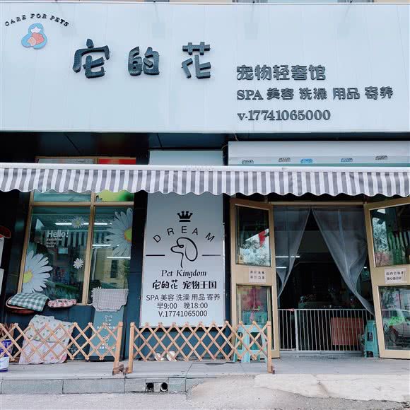 它的花宠物轻奢馆:抚顺市望花区李石经济开发区附近