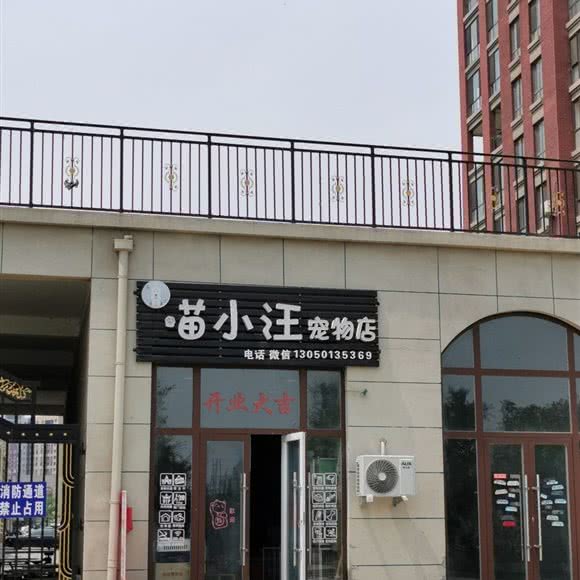 喵小汪宠物店:抚顺市望花区李石经济开发区附近