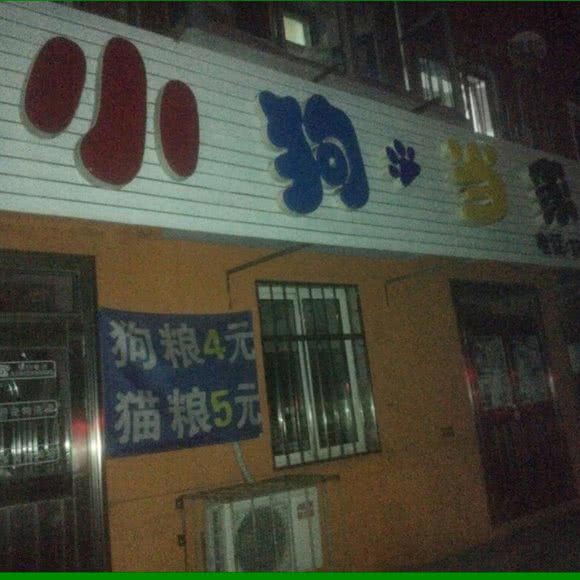 小狗当家:抚顺市望花区望花大街/北镇街附近