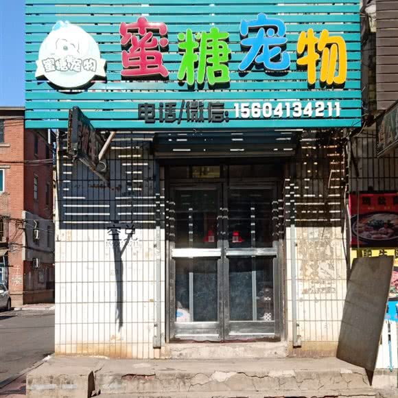 蜜糖宠物:抚顺市望花区望花大街/北镇街附近