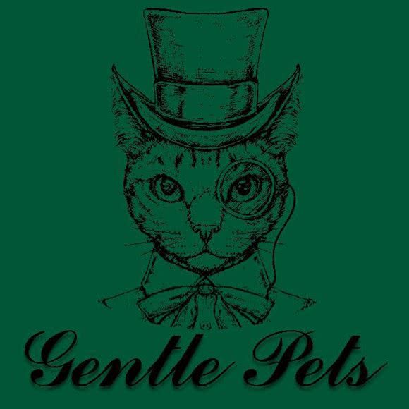 Gentle Pets绅宠撸猫馆:北京城区丰台区北京南站/开阳里附近