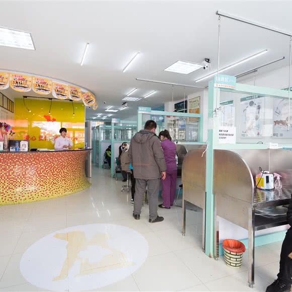 派美特宠物医院(新华店):抚顺市顺城区北站附近