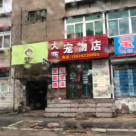 大菲宠物店:抚顺市顺城区将军附近
