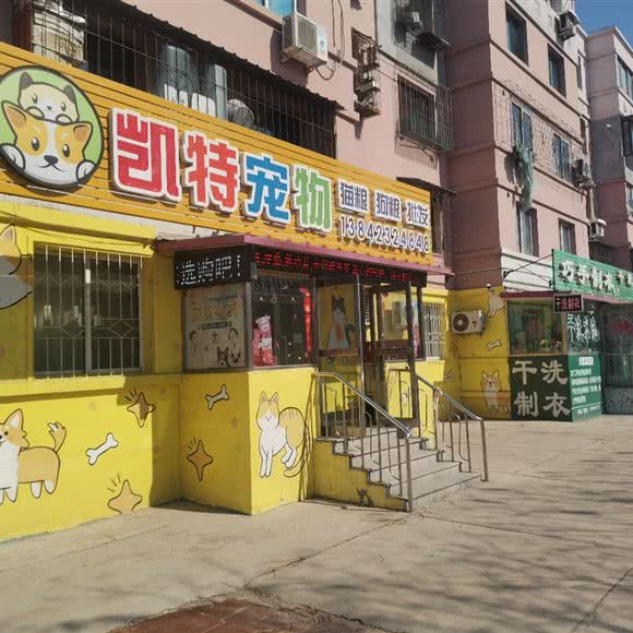 凯特宠物:抚顺市顺城区雷锋体育场附近