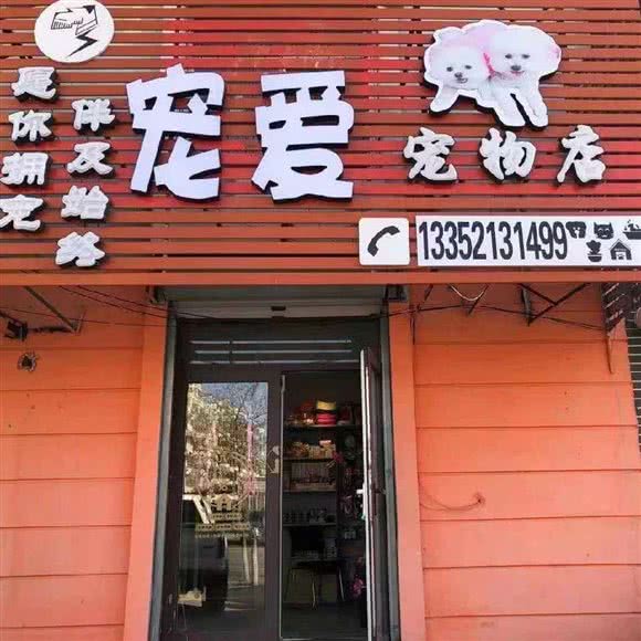 宠爱宠物店:抚顺市顺城区河东附近
