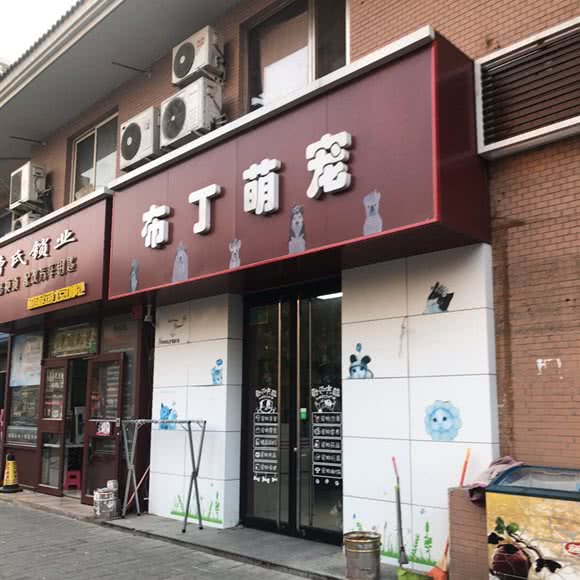布丁萌宠宠物店:北京城区丰台区北大地/万丰路附近