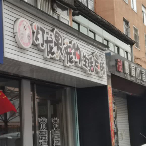 灯龙果宠物生活会所:丹东市元宝区新柳步行街附近