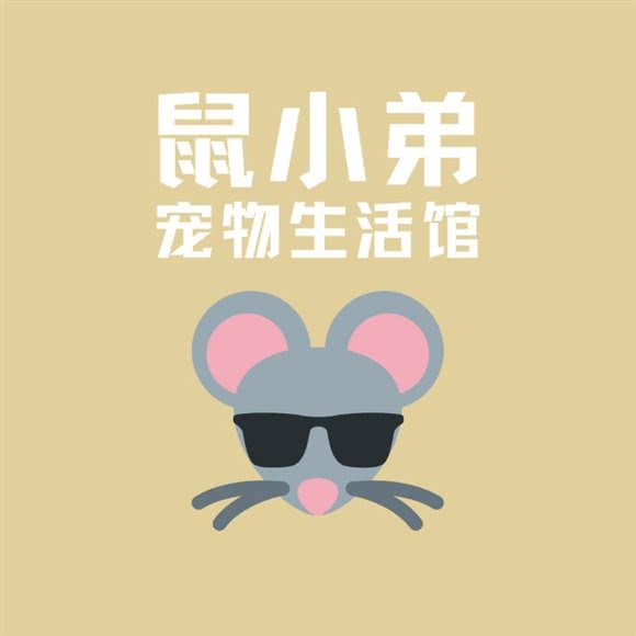 鼠小弟宠物生活馆:丹东市振兴区江边附近