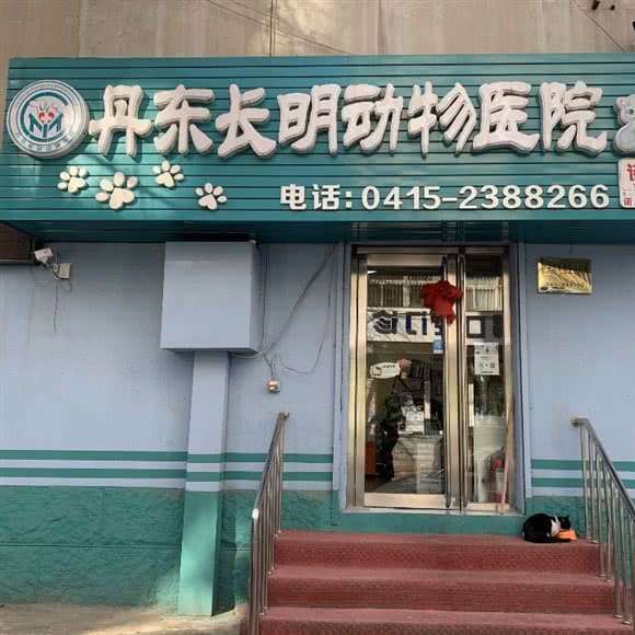 丹东市长明动物医院:丹东市振兴区站前附近