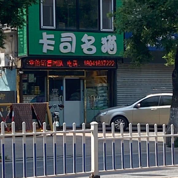 卡司名猫:锦州市古塔区西安街蔬菜市场附近