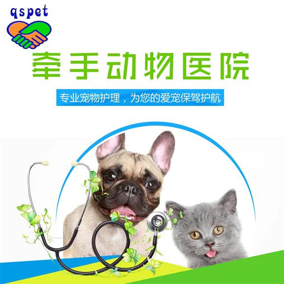牵手宠物医院:锦州市古塔区西安街蔬菜市场附近