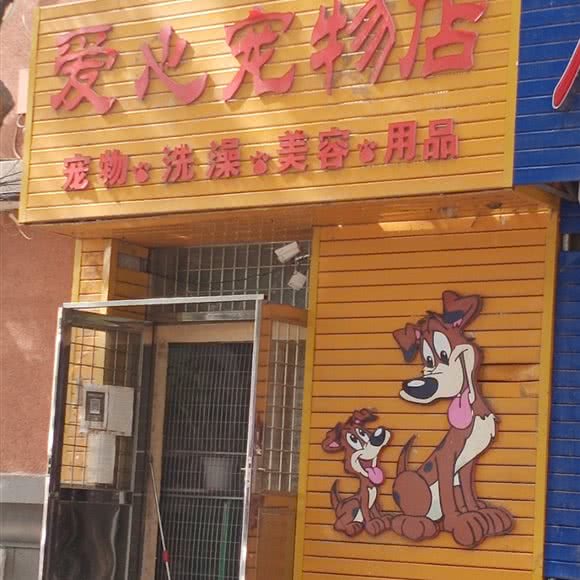 爱心宠物店:锦州市古塔区红星楼附近