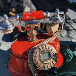 锦州狗市:锦州市古塔区红星楼附近