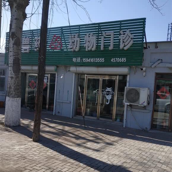 动物门诊:锦州市古塔区辽工附近