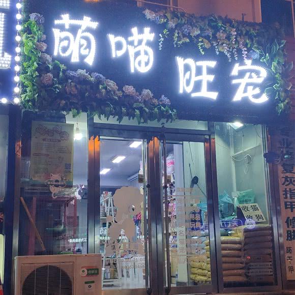萌喵旺宠:锦州市凌河区体育场附近