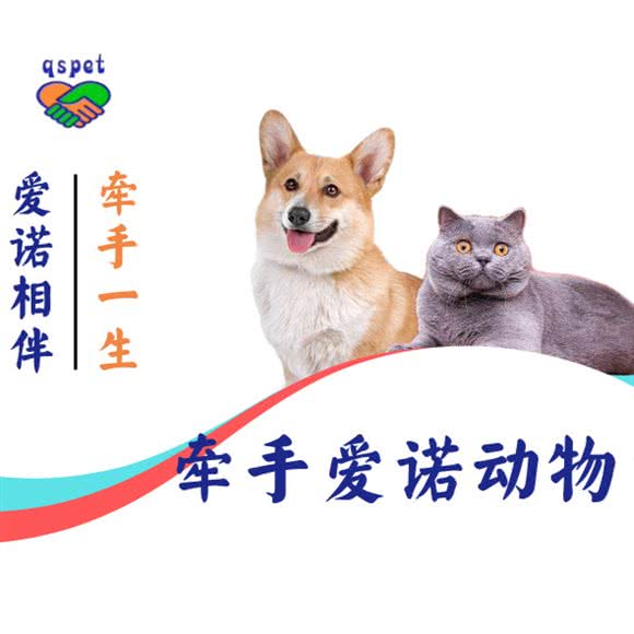 牵手爱诺动物医院:锦州市凌河区家乐汇附近