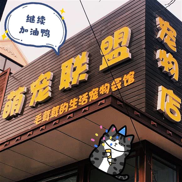 萌宠联盟宠物店:锦州市凌河区单洞批发市场附近