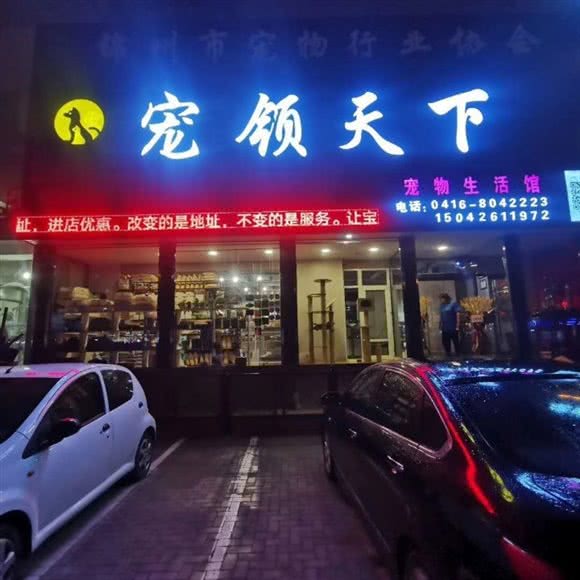 宠领天下宠物生活馆:锦州市太和区锦阳高中附近