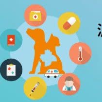 派美特宠物医院(锦州店):锦州市太和区锦阳高中附近