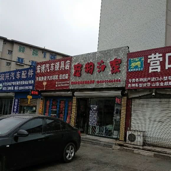 宠物家:营口市站前区体育场附近