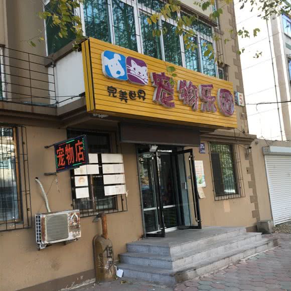 完美世界宠物乐园:营口市站前区大商新玛特附近