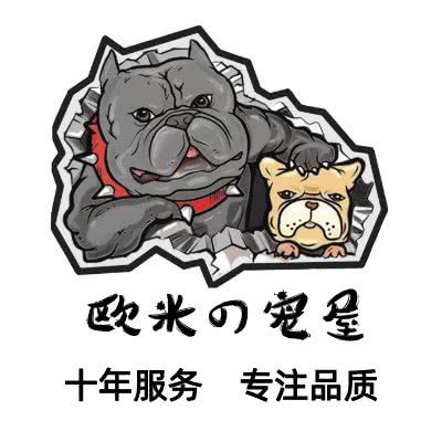 欧米の宠屋:北京城区丰台区青塔附近