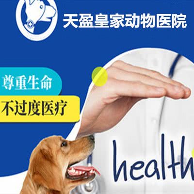 天盈皇家动物医院(西市店):营口市西市区镜湖公园附近