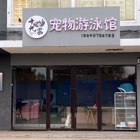 十九家宠物游泳馆:营口市西市区老街附近