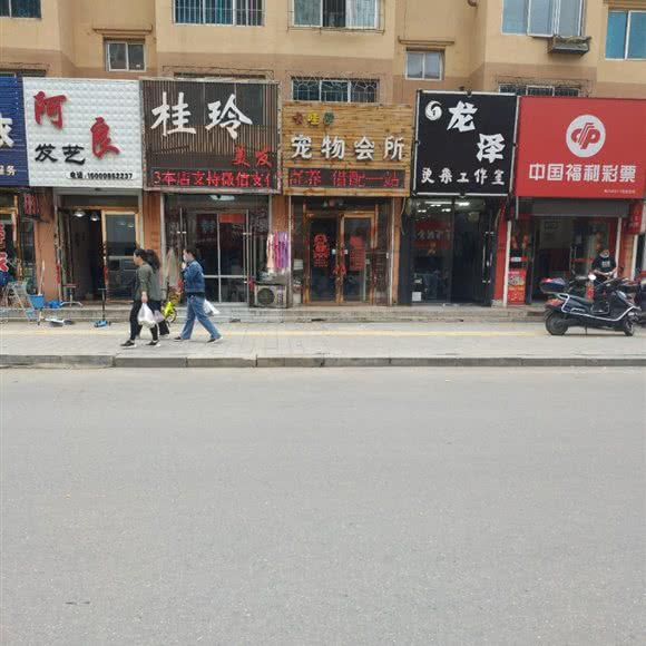 卡哇伊宠物会所:营口市鲅鱼圈区商业大厦附近