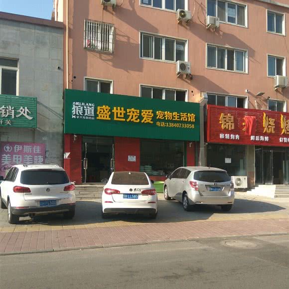 狼道盛世宠爱宠物生活馆:营口市鲅鱼圈区商业大厦附近
