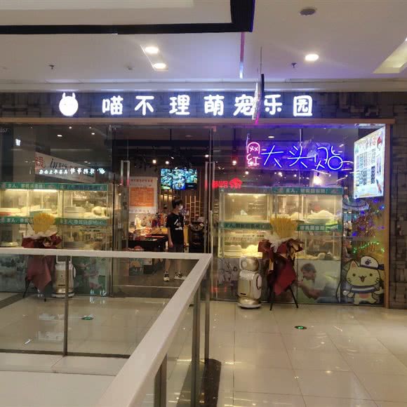 喵不理萌宠乐园:营口市鲅鱼圈区鲅鱼圈万达广场附近