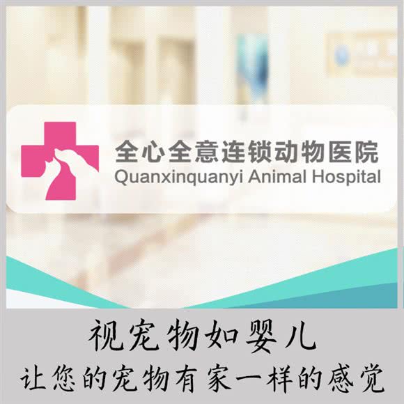 全心全意连锁动物医院(会城门分院):北京城区丰台区北京西站/六里桥附近