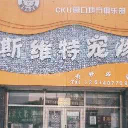 斯维特宠物狗:营口市鲅鱼圈区红旺广场附近