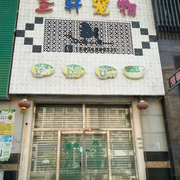 圣轩宠物:营口市鲅鱼圈区红旺广场附近