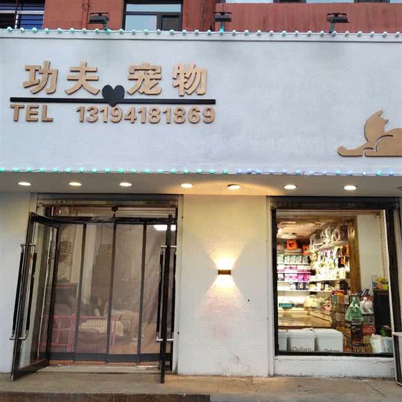 功夫宠物:阜新市海州区西山路附近