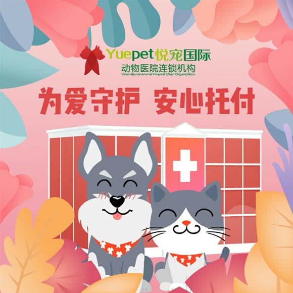 悦宠爱牧家动物医院外科骨科中心(西直门店):北京城区西城区西直门/动物园附近