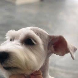 籽涵的宠物馆:阜新市海州区西山路附近