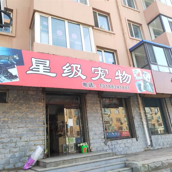 星级宠物:阜新市海州区西山路附近