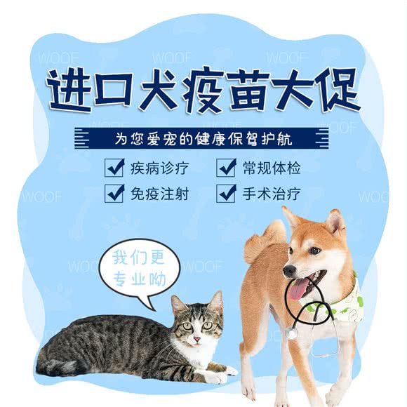 欢芭儿宠物医院:北京城区丰台区北京西站/六里桥附近