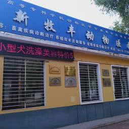 阜新牧丰动物医院:阜新市海州区三一八公园附近