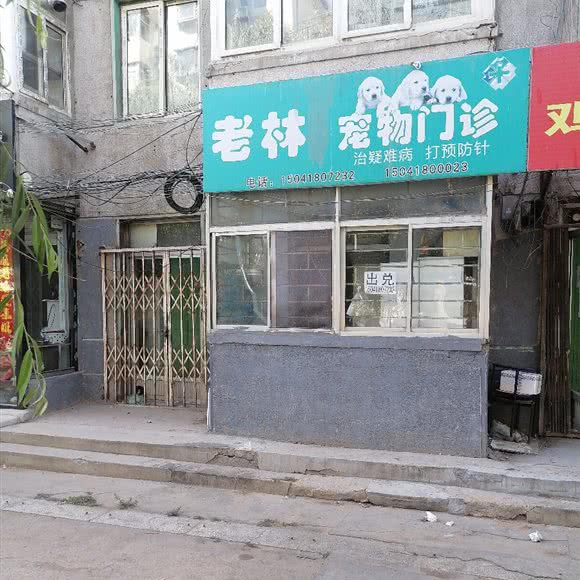 老林宠物门诊(和平路店):阜新市海州区中心医院附近