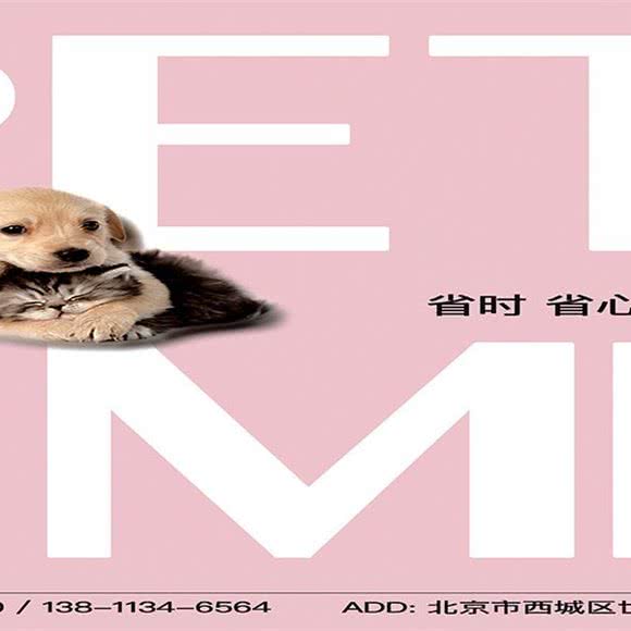 Pet It宠我 宠物店:北京城区丰台区六里桥/丽泽桥附近