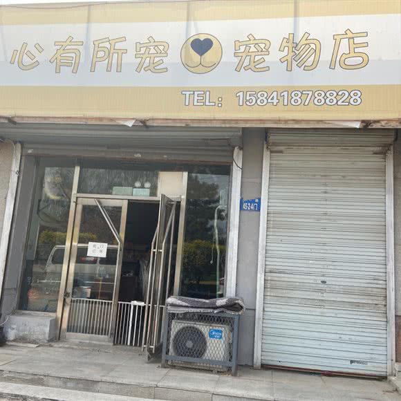 心略有宠宠物店:阜新市细河区阜新火车北站附近