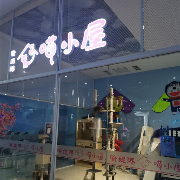 喵小屋愉缇港:北京城区丰台区六里桥/丽泽桥附近