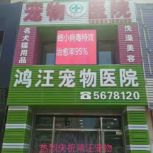 鸿汪宠物医院:阜新市细河区人民大街附近