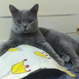 动物园兽医院:北京城区西城区西直门/动物园附近